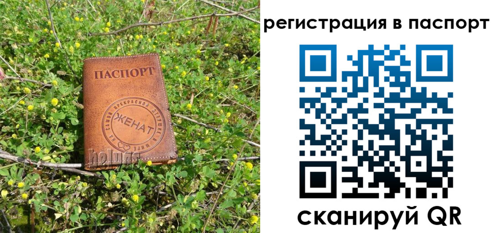 прописка законно в Сосновке